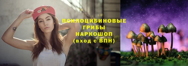 амф Осинники