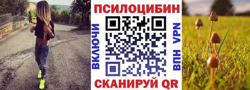 закладки  маркетплейс состав  Галлюциногенные грибы Psilocybe  Ува 